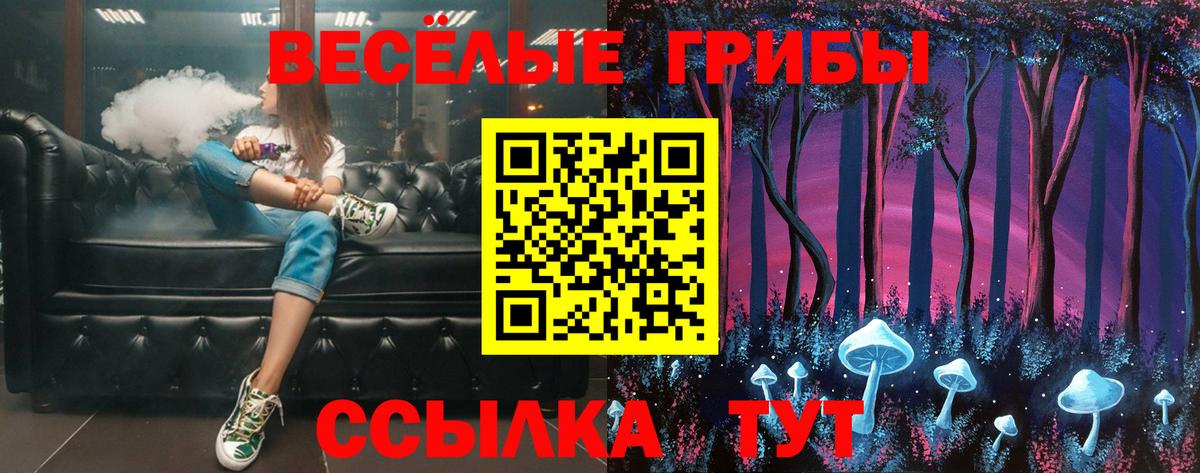 Галлюциногенные грибы ЛСД Камышлов